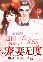 逮捕小逃妻：boss宠妻无度